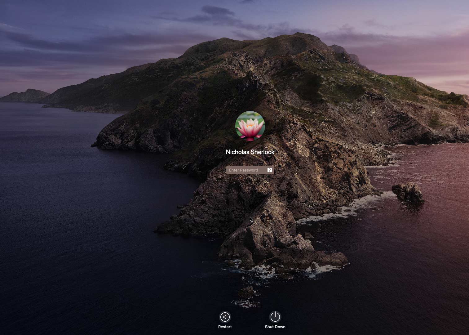 Installing macOS Catalina 10.15 on Proxmox 6.1 or 6.2 using